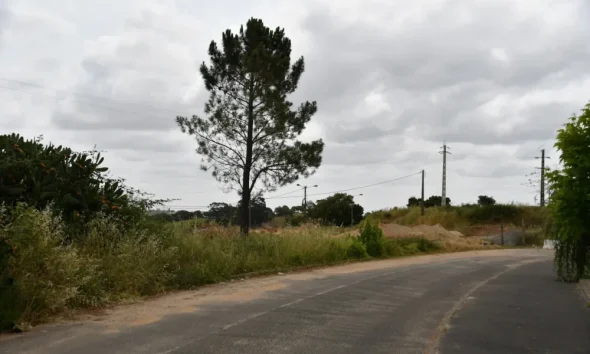 Santiago do Cacém adjudica construção de 24 habitações a custos controlados em Cercal do Alentejo