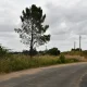 Santiago do Cacém adjudica construção de 24 habitações a custos controlados em Cercal do Alentejo