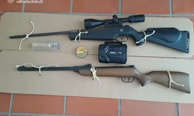 GNR detém homem e apreende carabinas modificadas e munições em Nisa