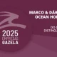 Duas empresas do concelho da Nazaré distinguidas como Empresas Gazela 2025