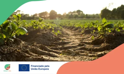 TRAILS4SOIL promove agricultura sustentável com participação ativa da CCDR Alentejo « Comissão de Coordenação e Desenvolvimento Regional do Alentejo, I.P.