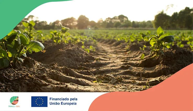 TRAILS4SOIL promove agricultura sustentável com participação ativa da CCDR Alentejo « Comissão de Coordenação e Desenvolvimento Regional do Alentejo, I.P.