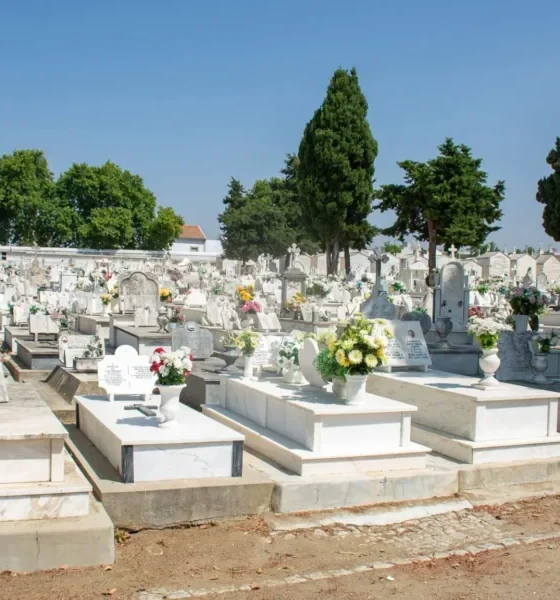 Câmara de Évora Realiza Trabalhos de Limpeza e Manutenção no Cemitério dos Remédios