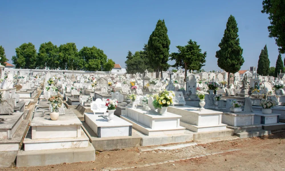 Câmara de Évora Realiza Trabalhos de Limpeza e Manutenção no Cemitério dos Remédios