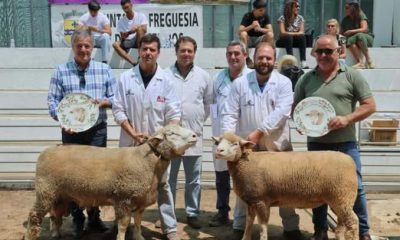 Provas de Ile-de-France, P3 e Charollais voltaram a integrar programa do maior e…