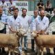 Provas de Ile-de-France, P3 e Charollais voltaram a integrar programa do maior e…
