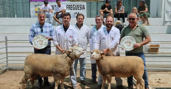 Provas de Ile-de-France, P3 e Charollais voltaram a integrar programa do maior e…