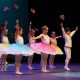 20 anos de dança, memórias e reencontros celebrados no Centro Cultural de Paredes