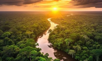ALENTEJO 2030 DISPONIBILIZA 1,6 MILHÕES DE EUROS PARA A CONSERVAÇÃO DA NATUREZA E BIODIVERSIDADE NOS SÍTIOS NATURA 2000