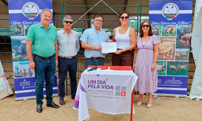 Solidariedade no 1º Leilão da raça charollais