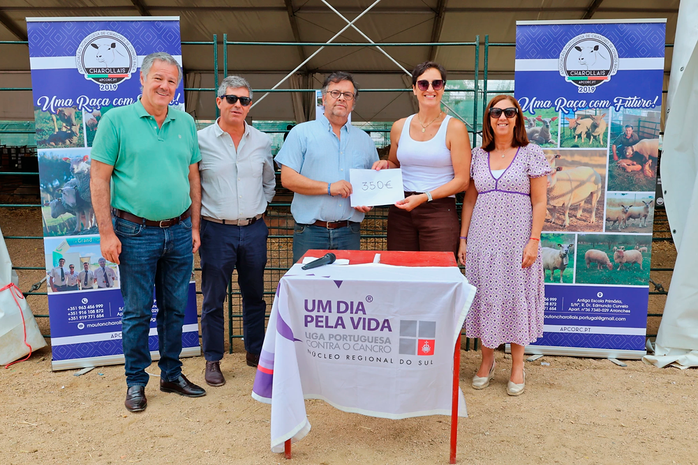 Solidariedade no 1º Leilão da raça charollais