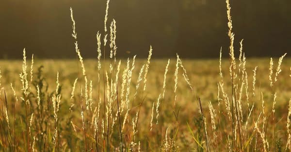 Informam-se os potenciais interessados que se encontra aberto, até às 16 horas d…