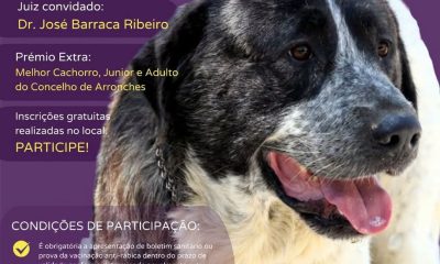 XIII CONCURSO REGIONAL DO RAFEIRO DO ALENTEJO DE ARRONCHES

(Integrado na XV Fei…