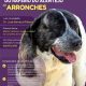 XIII CONCURSO REGIONAL DO RAFEIRO DO ALENTEJO DE ARRONCHES

(Integrado na XV Fei…