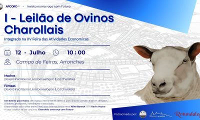 I LEILÃO DE OVINOS CHAROLLAIS

(Integrado na XV Feira das Atividades Económicas …
