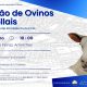 I LEILÃO DE OVINOS CHAROLLAIS

(Integrado na XV Feira das Atividades Económicas …