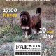 IV CONCURSO DO CÃO SERRA DE AIRES

(Integrado na XV Feira das Atividades Económi…
