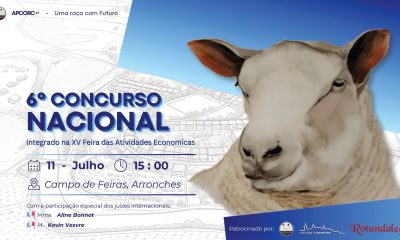 6.º CONCURSO NACIONAL DE OVINOS DE RAÇA CHAROLLAIS

(Integrado na XV Feira das A…