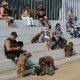 Município de Arronches adicionou fotos ao álbum: IV Concurso do Cão Serra de Air…