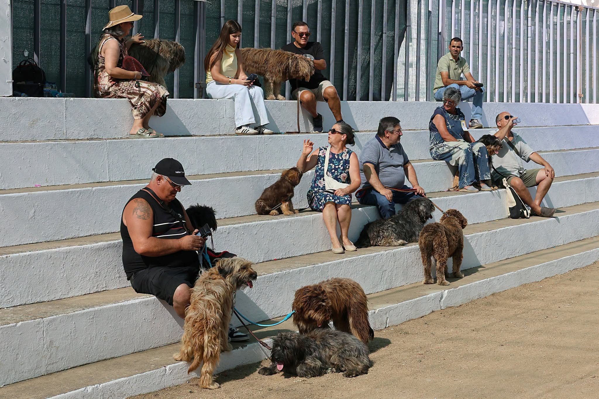 Município de Arronches adicionou fotos ao álbum: IV Concurso do Cão Serra de Air…