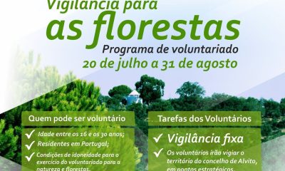 Vigilância para as Florestas | Programa de Voluntariado Jovem 

Gostas da natur…