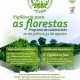 Vigilância para as Florestas | Programa de Voluntariado Jovem 

Gostas da natur…