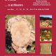 A Ammaia convida a visitar o anfiteatro romano!

A Fundação Cidade de Ammaia pr…