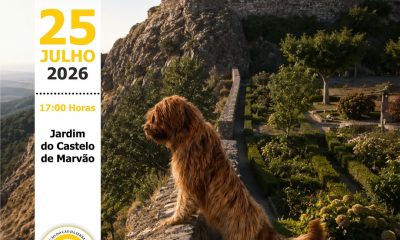 I Concurso Regional do Cão da Serra de Aires
 25 de julho (sábado)
 17h00
 Jard…