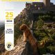 I Concurso Regional do Cão da Serra de Aires
 25 de julho (sábado)
 17h00
 Jard…