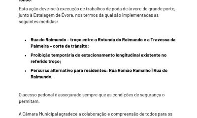 𝗜𝗻𝗳𝗼𝗿𝗺𝗮𝗰̧𝗮̃𝗼 𝗱𝗲 𝘁𝗿𝗮̂𝗻𝘀𝗶𝘁𝗼 
Condicionamento temporário da circulação rodoviária …
