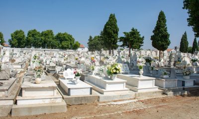 A Câmara Municipal de Évora tem vindo a desenvolver, nos últimos dias, uma inter…