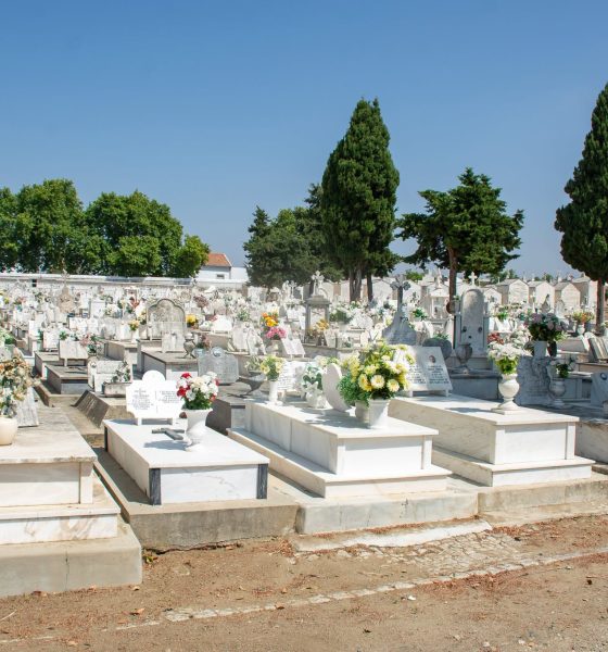 A Câmara Municipal de Évora tem vindo a desenvolver, nos últimos dias, uma inter…