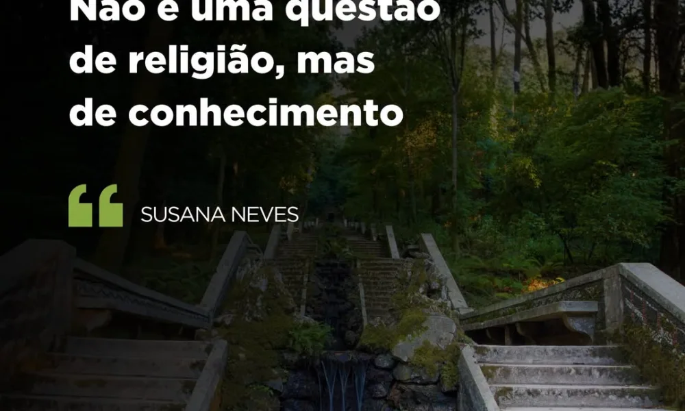A Mata Nacional do Buçaco, no Luso, recebe hoje a certificação como a primeira f…
