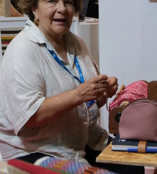 A Ministra do Trabalho, Solidariedade e Segurança Social, Rosário Palma Ramalho,…
