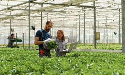 Agricultores de Resende chamados a participar em sessão sobre os desafios da inovação no mundo rural