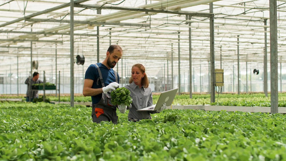 Agricultores de Resende chamados a participar em sessão sobre os desafios da inovação no mundo rural