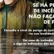 Aldeias e freguesias organizadas têm maior capacidade de resistir aos incêndios….