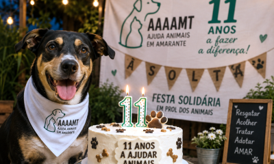 Amarante celebra 11.º aniversário da AAAAMT com festa solidária em prol dos animais