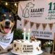 Amarante celebra 11.º aniversário da AAAAMT com festa solidária em prol dos animais