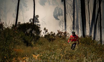 Amarante divulga guia de autoproteção para reforçar prevenção de incêndios rurais