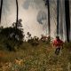 Amarante divulga guia de autoproteção para reforçar prevenção de incêndios rurais