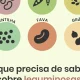 As leguminosas são alimentos muito ricos em nutrientes e proporcionam elevados …