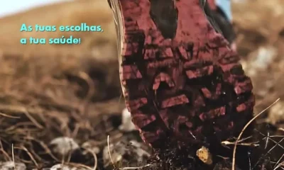 BOM É PODER DECIDIR!

Todos os dias há escolhas que contam.

O que experimentas…