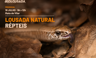BioLousada convida participantes a descobrir o fascinante mundo dos répteis em sessão de campo