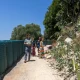 Câmara Municipal aciona ICNF para a recuperação da encosta do castelo

O Municíp…