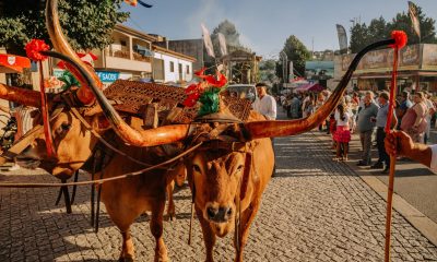 Cortejo Etnográfico volta a encher as ruas de Celorico de Basto e celebra as tradições do concelho