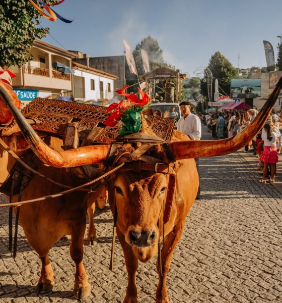 Cortejo Etnográfico volta a encher as ruas de Celorico de Basto e celebra as tradições do concelho