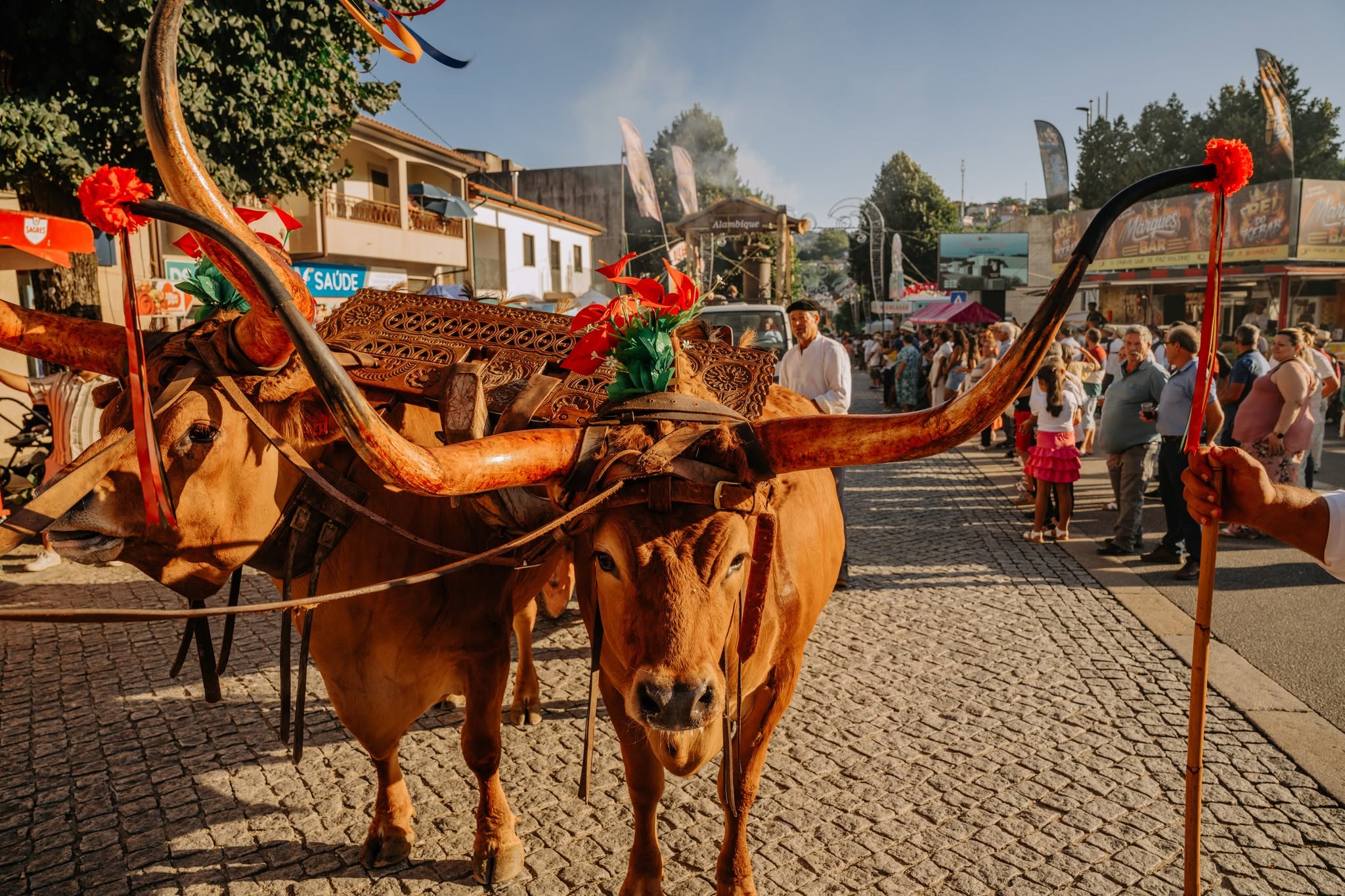Cortejo Etnográfico volta a encher as ruas de Celorico de Basto e celebra as tradições do concelho
