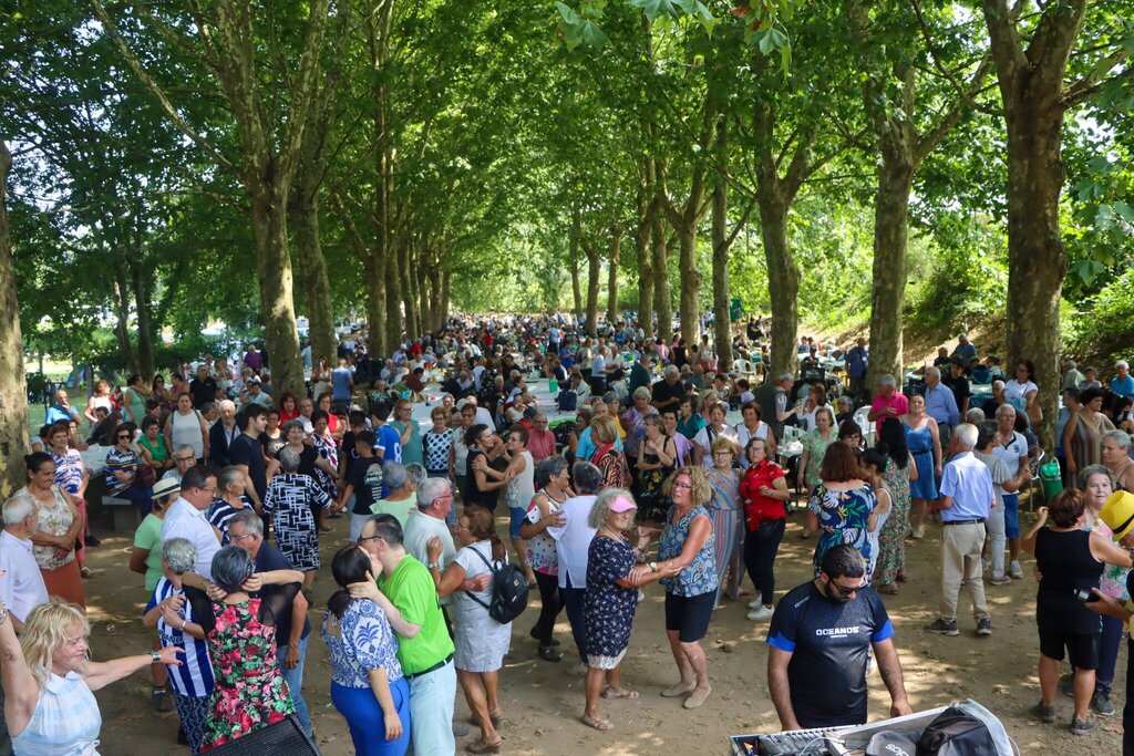 Paredes reúne cerca de 1800 avós para um dia de convívio e homenagem no Parque da Cidade