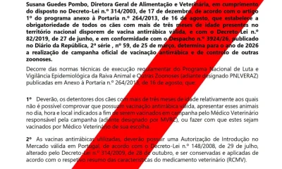 Edital 

Profilaxia da raiva e outras zoonoses | Vacinação antirrábica